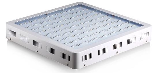 King Plus Double Chip LED Grow Light