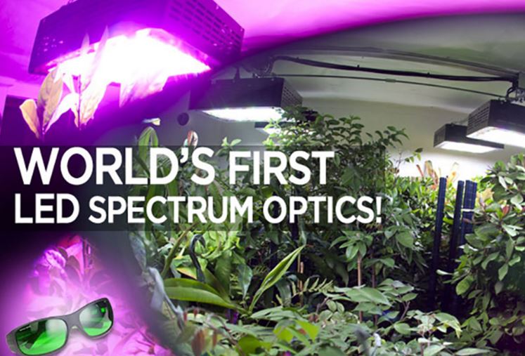 Method Seven Operator LED Grow Room Glasses