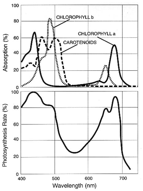 par chart