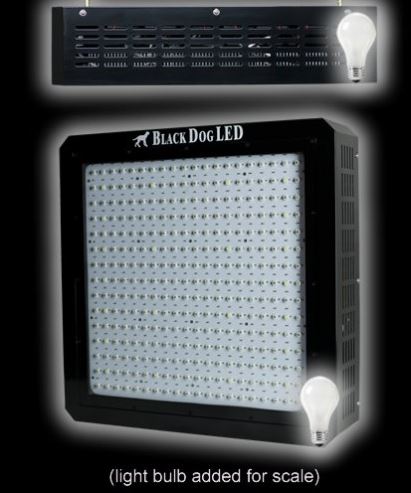 Black Dog Platinum XL 750w LED Grow Light