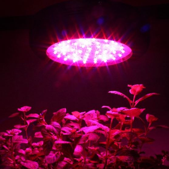 Apollo Horticulture GL60LED 180W LED Grow Light