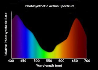 advanced led lights diamond series xml spectrum