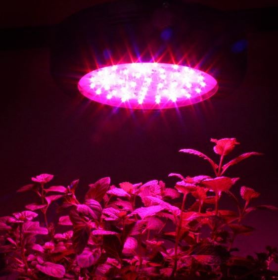 Apollo Horticulture GL45LED 135W LED Grow Light