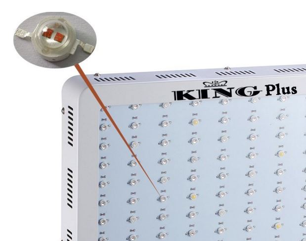 Kritik Relativ størrelse Efterligning King Plus Double Chip LED Grow Light Review