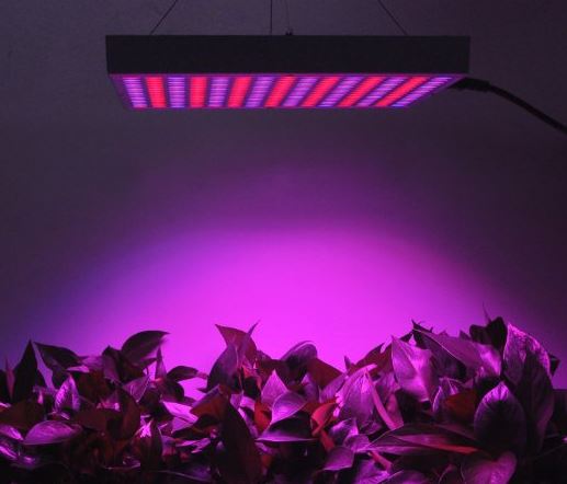 Erligpowht 45W LED Grow Light