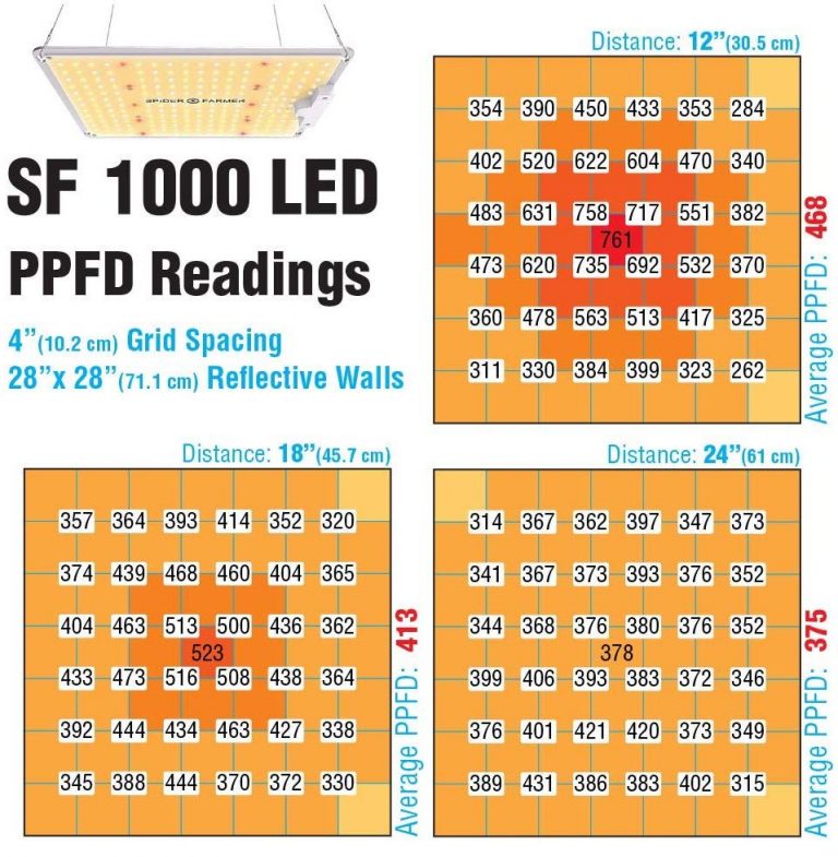 Sf 1000