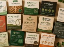 best beneficial nematode kits