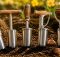 best bulb planters for spring