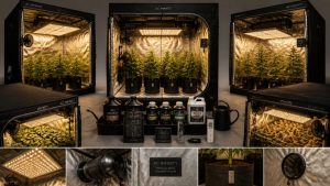best complete grow tent kits