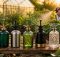 best foliar sprayers for gardens