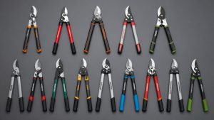 best loppers for thick branches