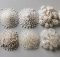 best perlite for indoor growing