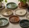 best plant humidity tray guide