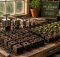 best soil blockers for seeds