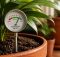 best soil moisture meter picks