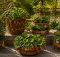 best strawberry planters for harvests
