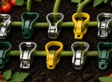 best tomato clips upright vines