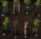 best tree stake kit recommendations