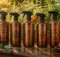 copper fungicide sprays for gardens