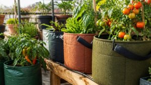 durability size root health factors