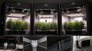 five key tent considerations for 4x4 grow tents