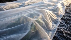 row cover fabric selection criteria