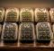 seed germination trays with humidity domes accelerate growth