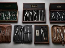 seven bonsai tool sets for enthusiasts