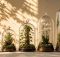 top 5 glass bell jars