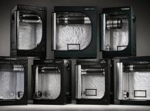 top 7 4x4 grow tents