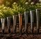 top deer repellent ultrasonic stakes