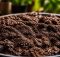 top worm castings fertilizer list