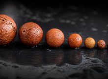 best clay pebble growing media