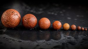 best clay pebble growing media