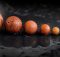 best clay pebble growing media