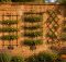 best espalier training kits
