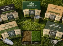 best lawn patch repair kits