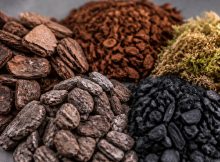 best orchid bark mixes