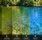 best pond algae treatments that work