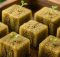 best rockwool seed germination cubes