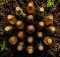 best worm tea liquid fertilizers