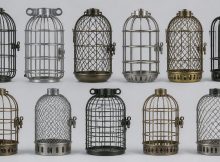 bulb cages rodent proof solutions