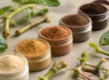 five best rooting hormone powders