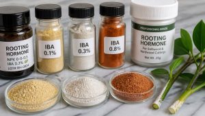 five factor rooting powder considerations