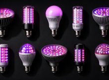 full spectrum led grow bulbs