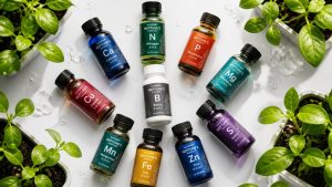 hydroponic nutrient starter kits
