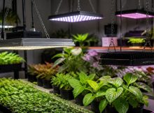 indoor grow light hanging kits top 10