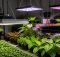 indoor grow light hanging kits top 10