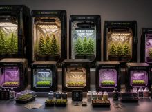 indoor grow tent kit recommendations