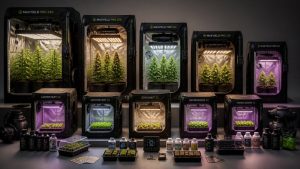 indoor grow tent kit recommendations